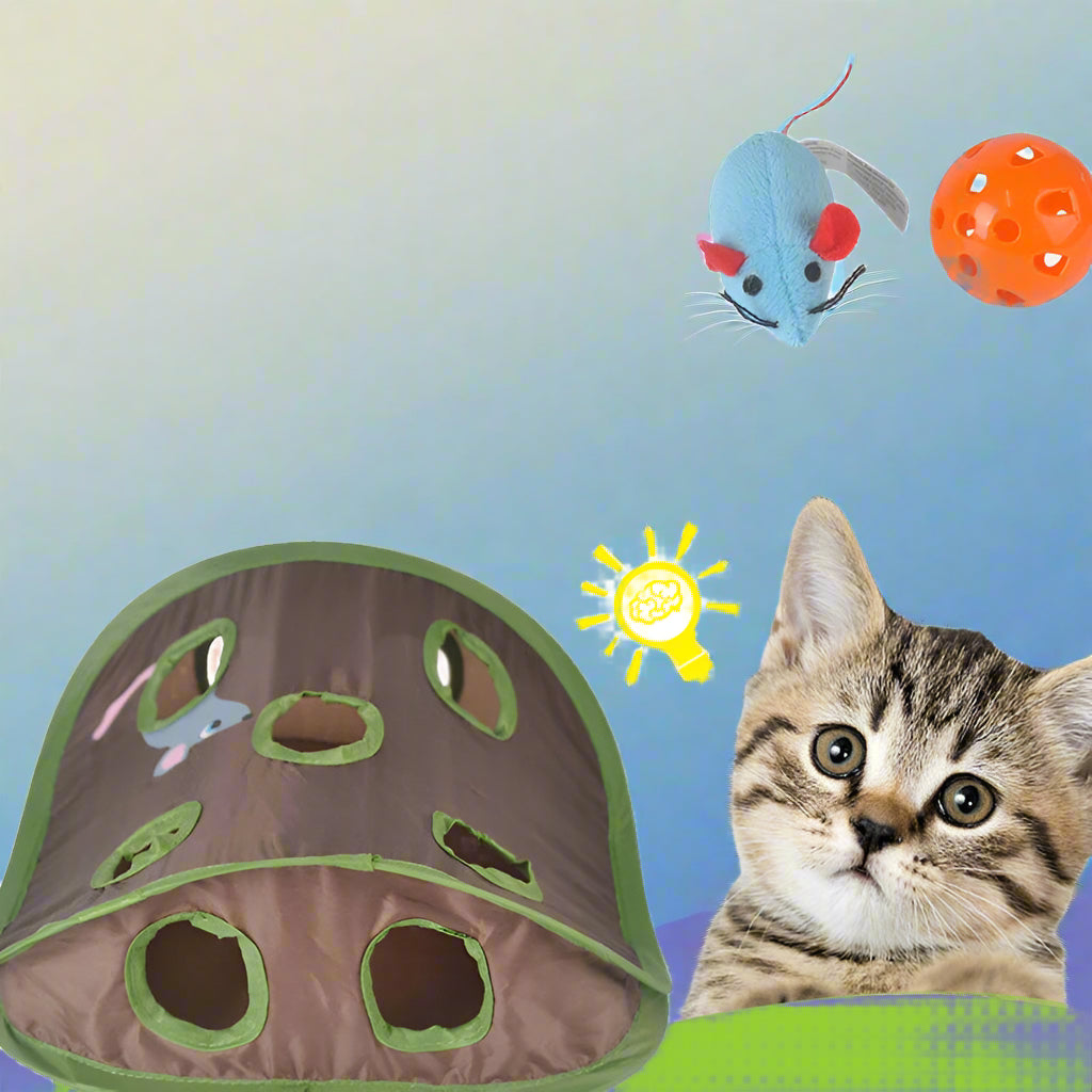 9-Hole Interactive Cat Toy with Tunnel Design for Engaging Playtime